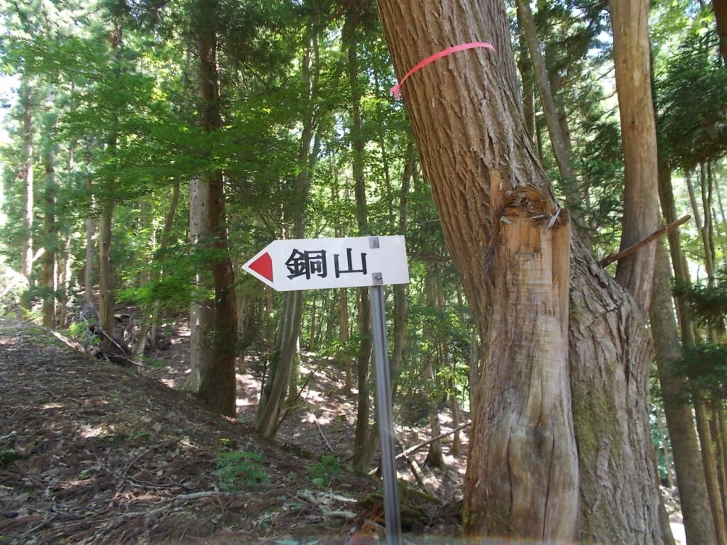 10：37　ここで左の斜面へ。