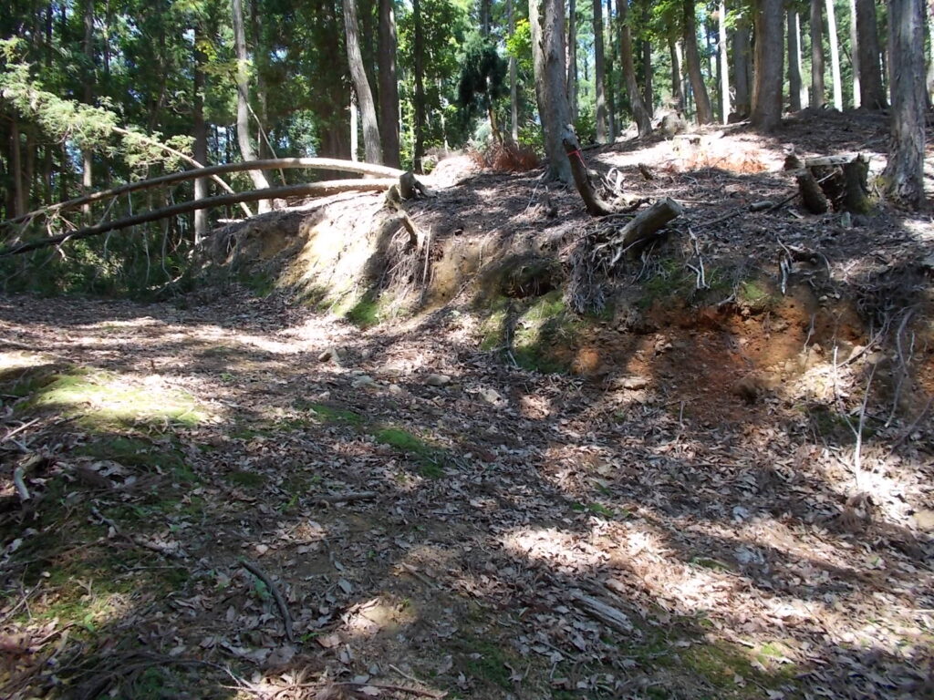 10：40　またまた林道に出ました。