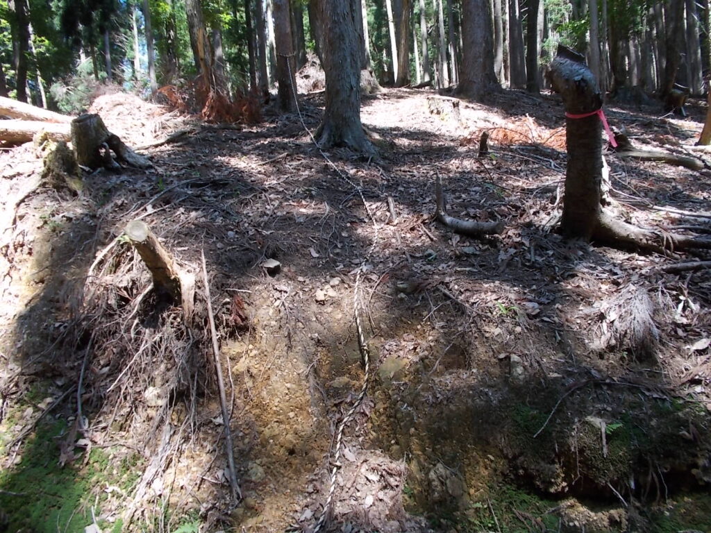 10：40　削られた斜面を虎ロープで登ります。