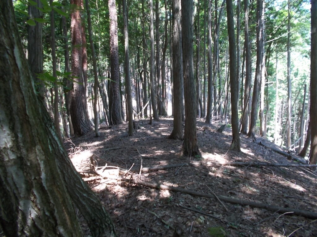 10：45　と思ったら、次のピークに着きました。