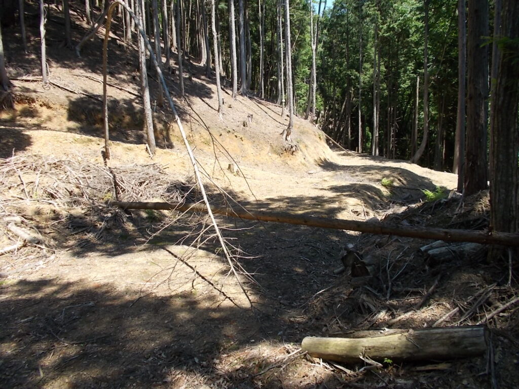 10：46で、またまた林道です。