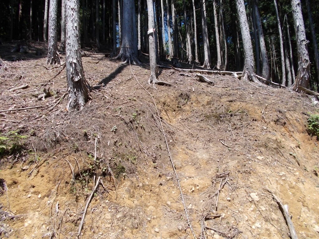 10：47　そして、またまたロープで登ります。