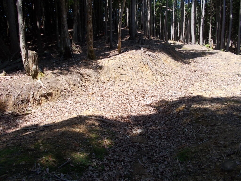 10：49　さらにまた林道