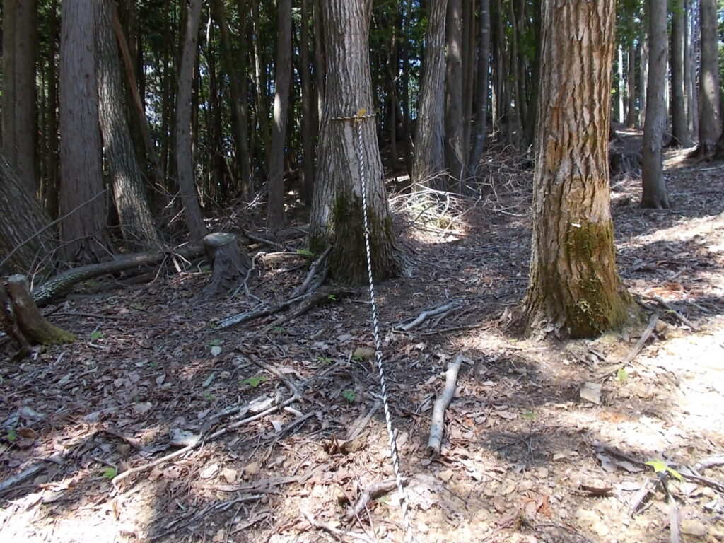 10：49　かなり厳しい上りです。