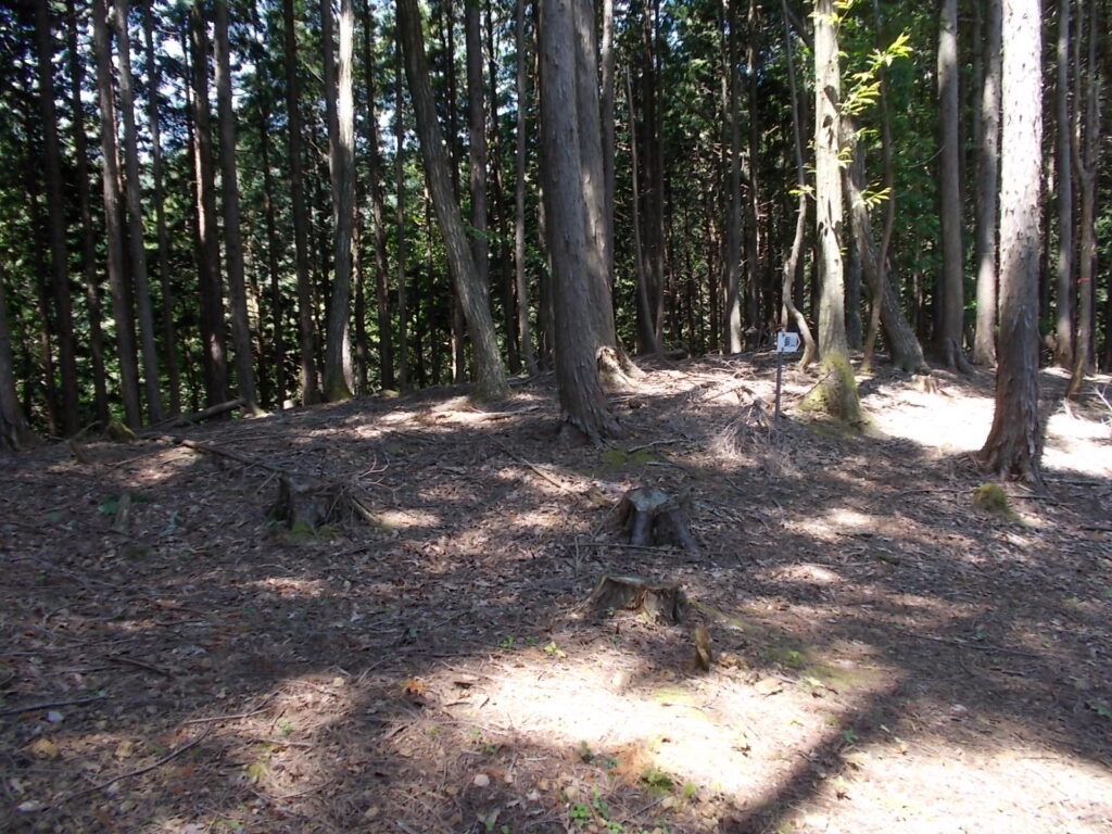 10：49　次のピーク