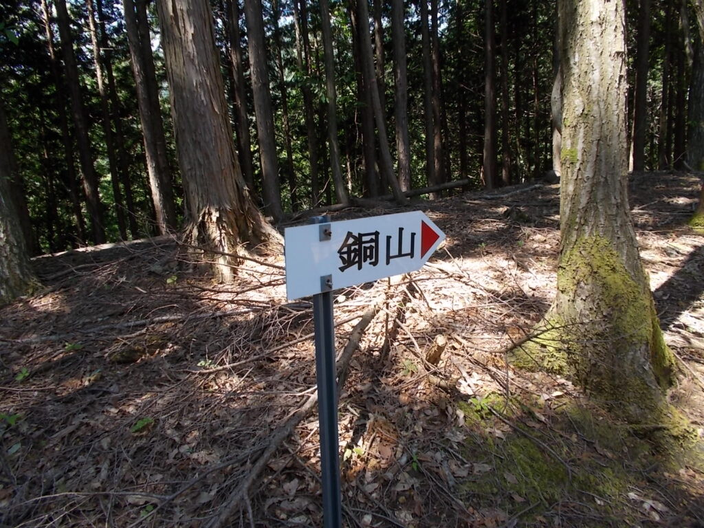 10：51　案内板。