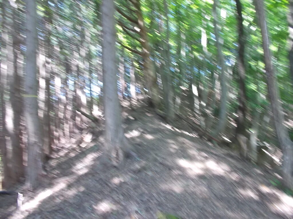 10：54　ここからなかなかの上りが続きます。ちょっとピンぼけになってますね、すみません。