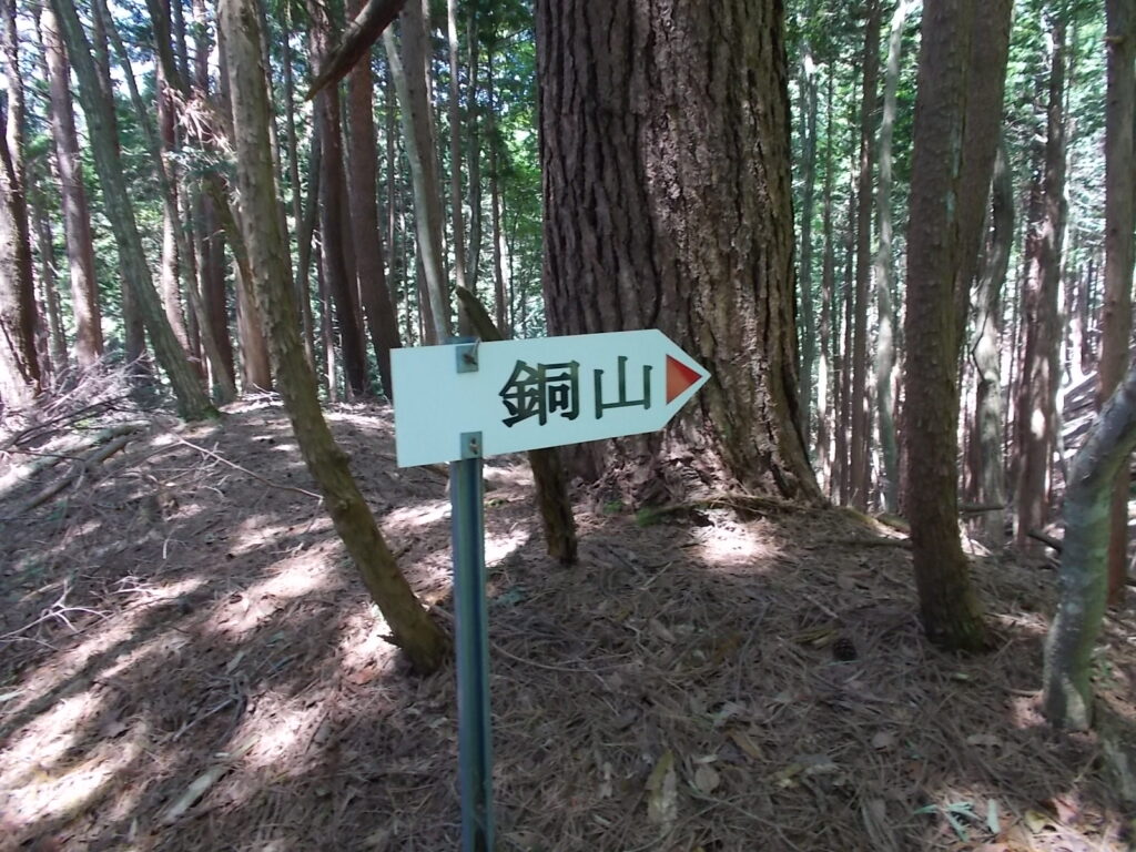 10：55　もうしばらく登ります。