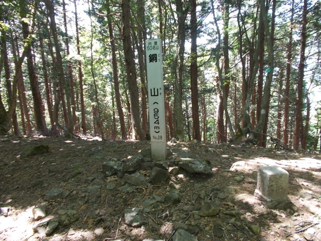 11：21　やっと山頂に着きました。見晴らしは全くありません。少し休憩です。