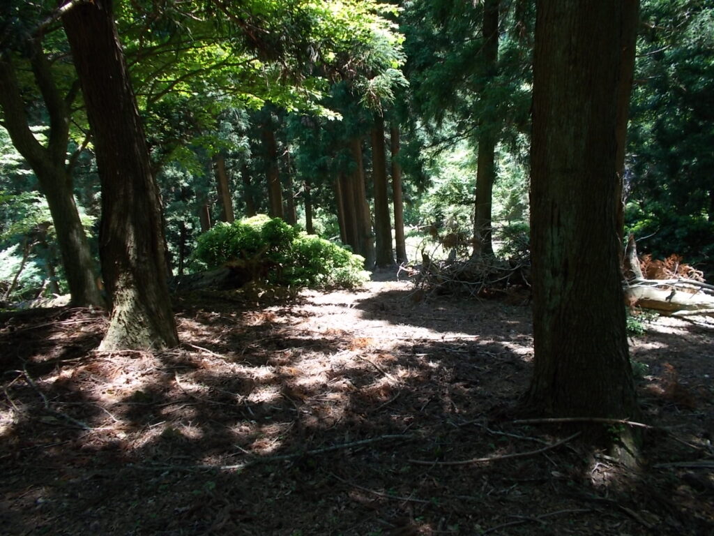 11：58　大路峠へ向かうとんでもない下り。ほんとにとんでもない下りで、足を滑らすと
数mは滑り落ちそうでした。