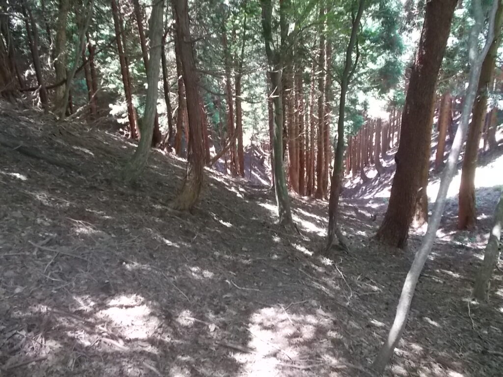 12：02　谷への下り。ひたすら人工林の中を下ります。