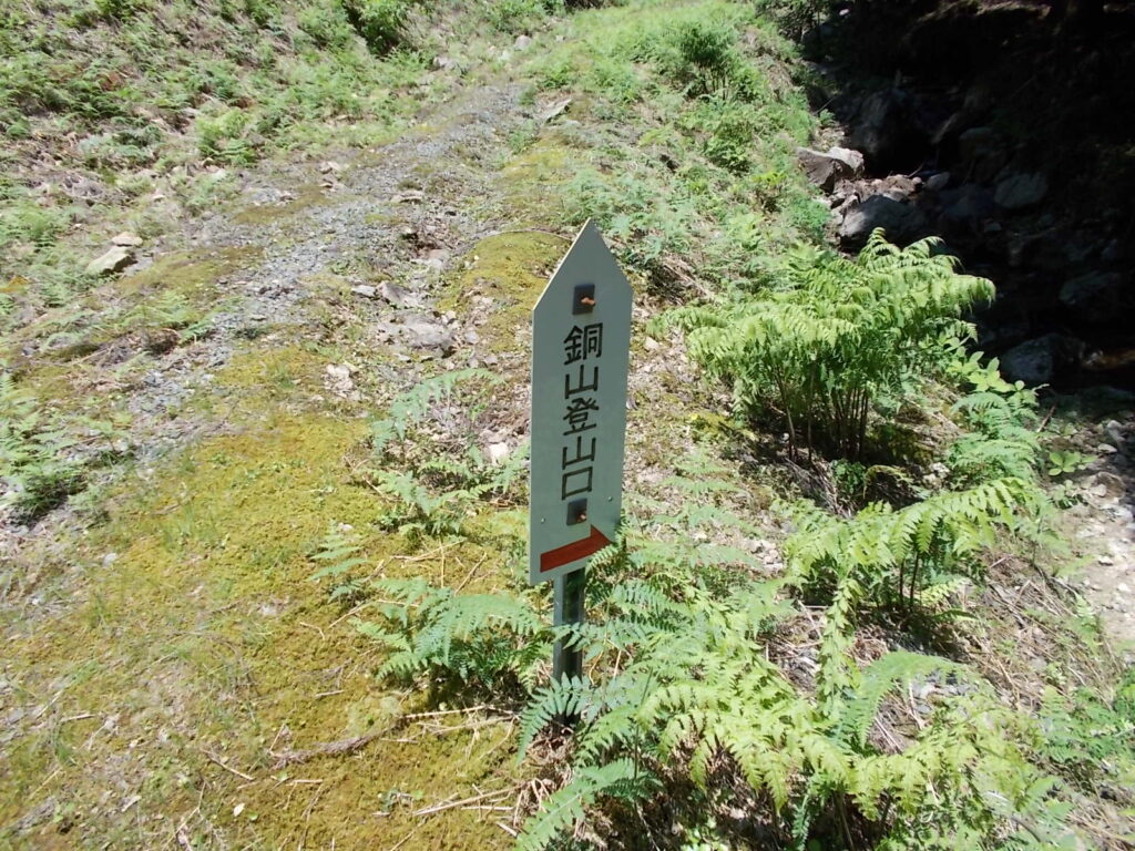 12：13　林道に出ました。