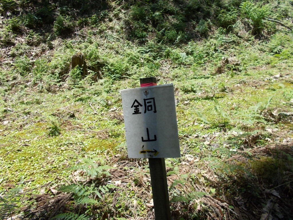 12：20　再び、林道に出ました。あとはひたすら林道を歩くだけ。