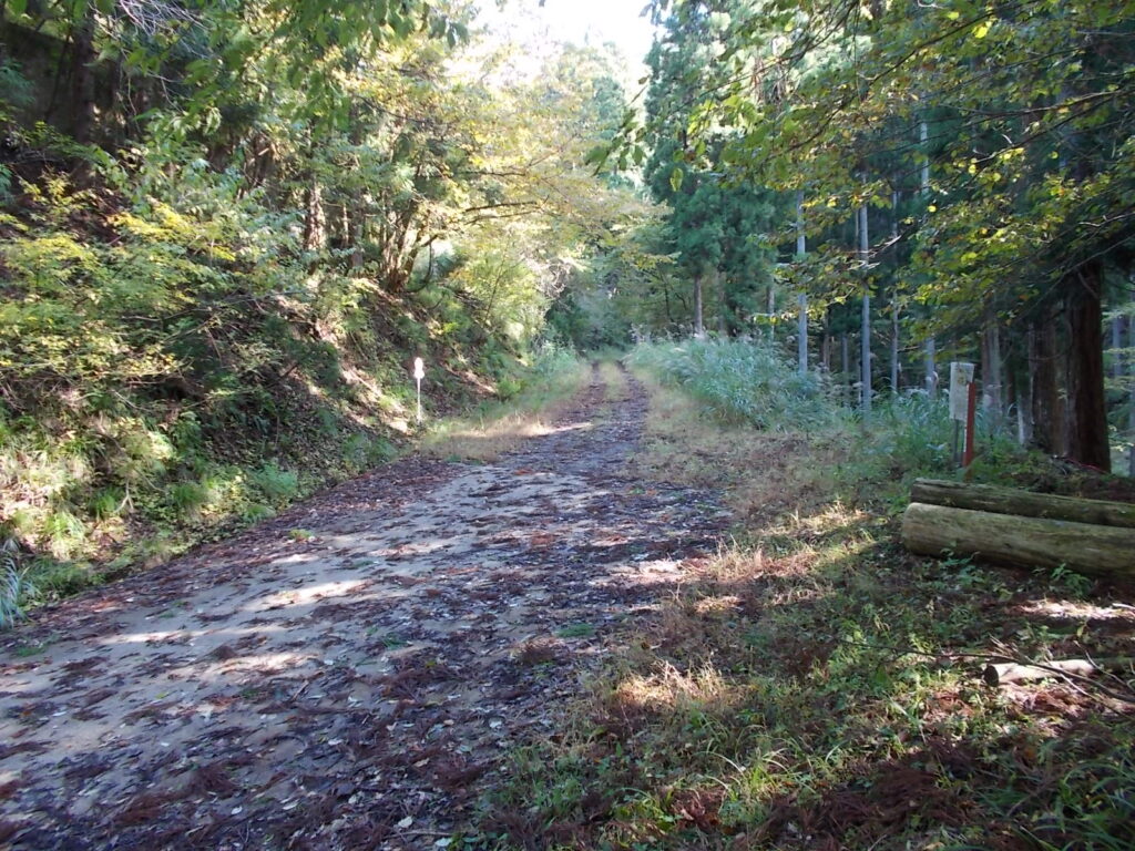 10：28　神社を抜けて林道に出ます。この林道はR29からは車で入れません。