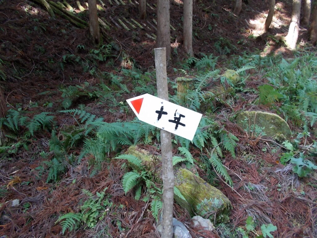 10：50　斜面への取り付き。ここから急な斜面を登ります。