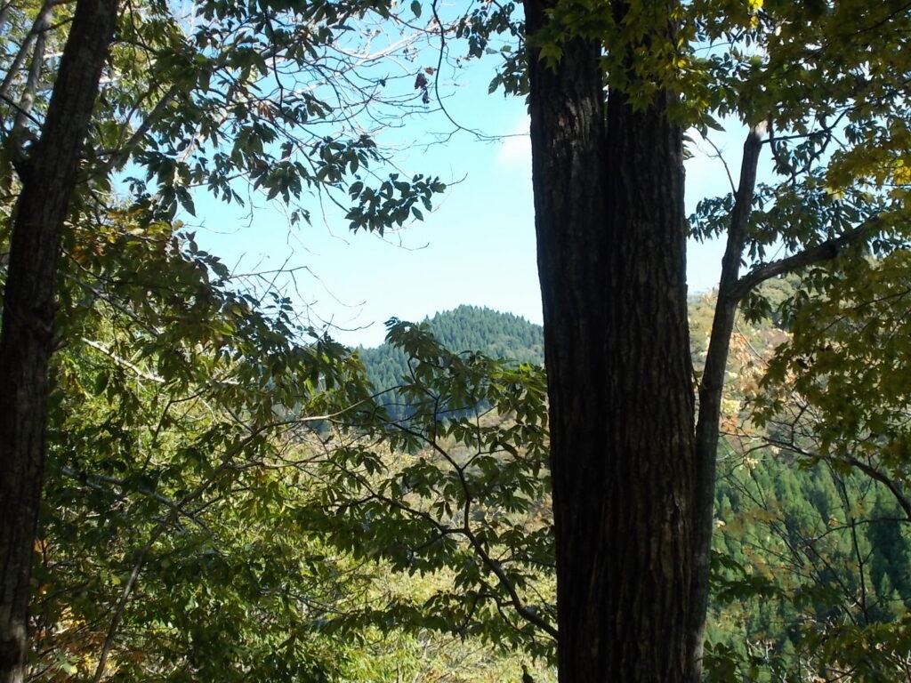 10：57　ここから見えた景色。十年でしょうか。