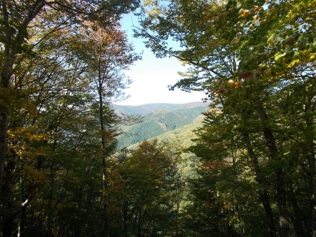 11：03　ここから見える北側の景色