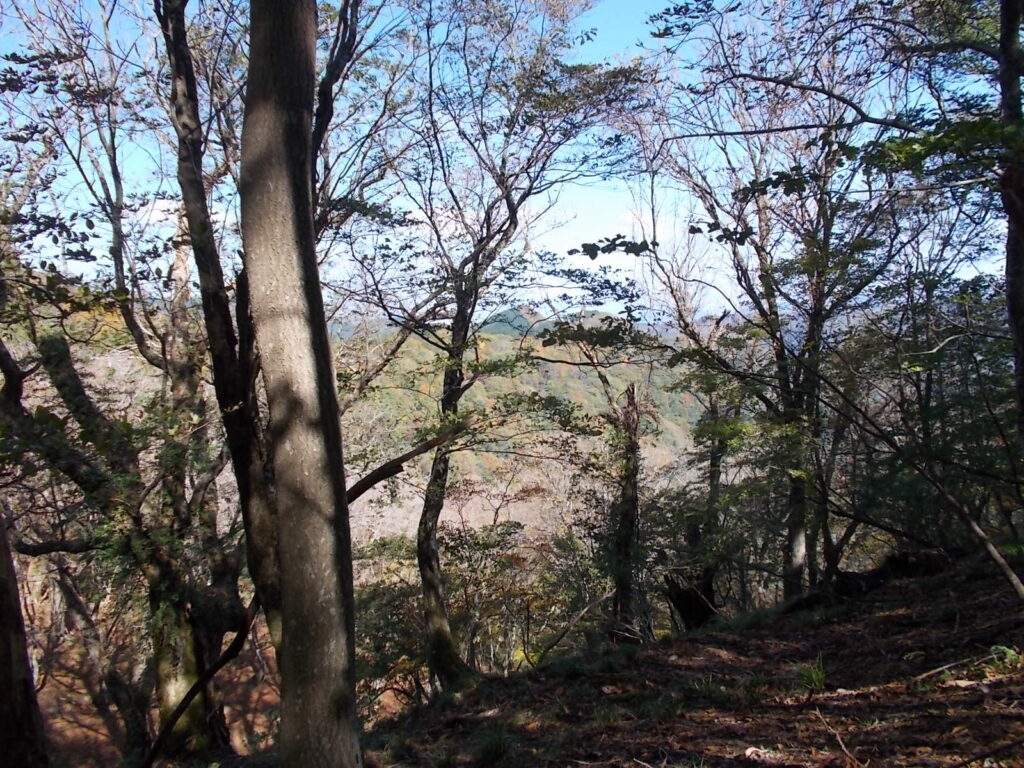 11：29　ここから見える景色