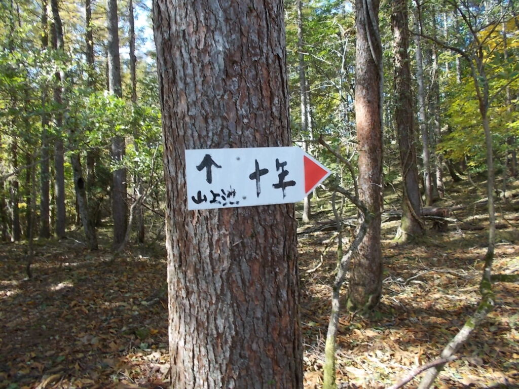 11：35　山上池への分岐