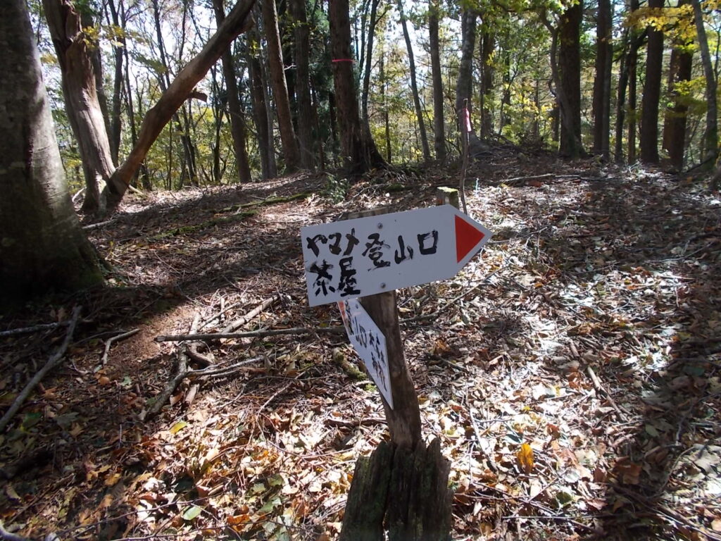 11：38　登山道に戻って、やまめ茶屋への分岐の案内