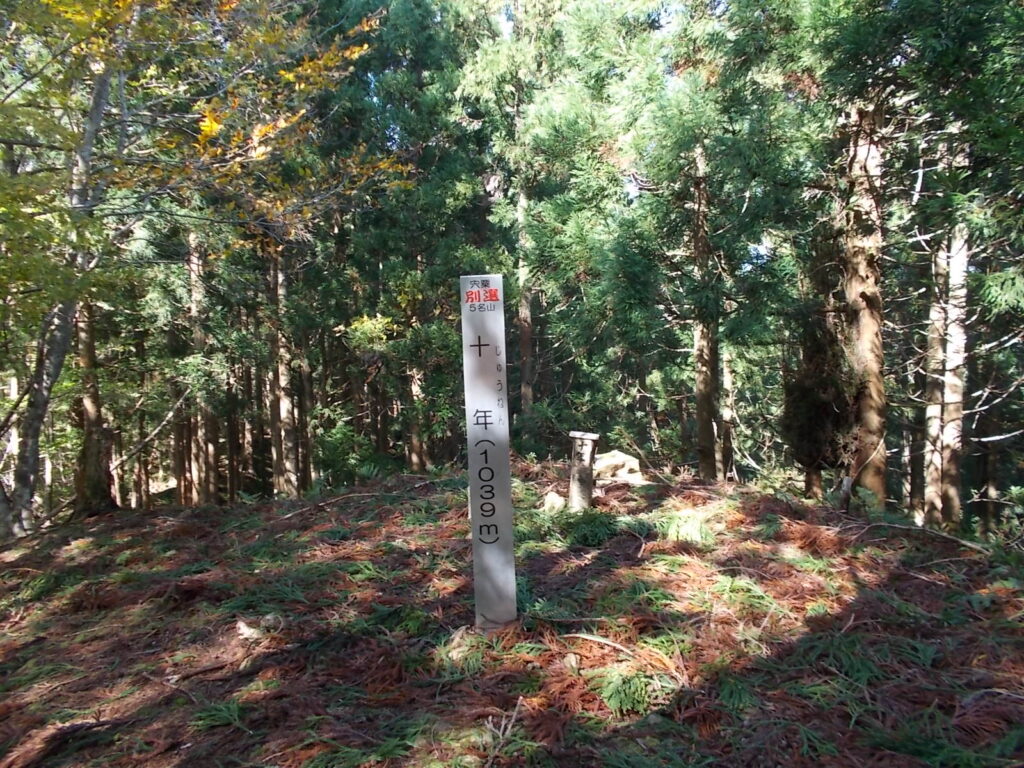 11：40　山頂に着きました。景色がさっぱり見えないのですぐに下山します。