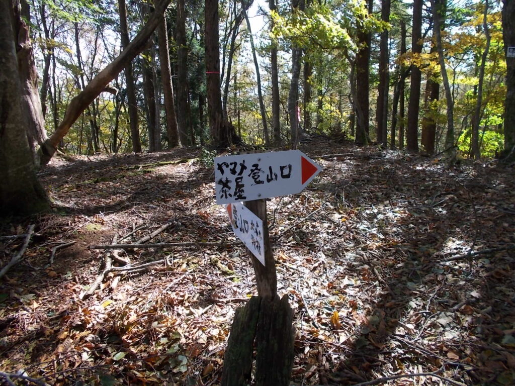 11：41　やまめ茶屋分岐からやまめ茶屋へ。