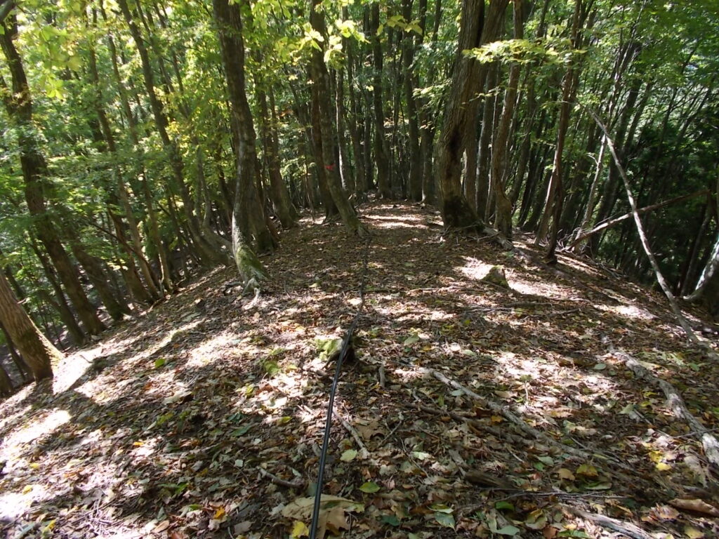 11：59　アンテナからのケーブルに沿って下りていきます。