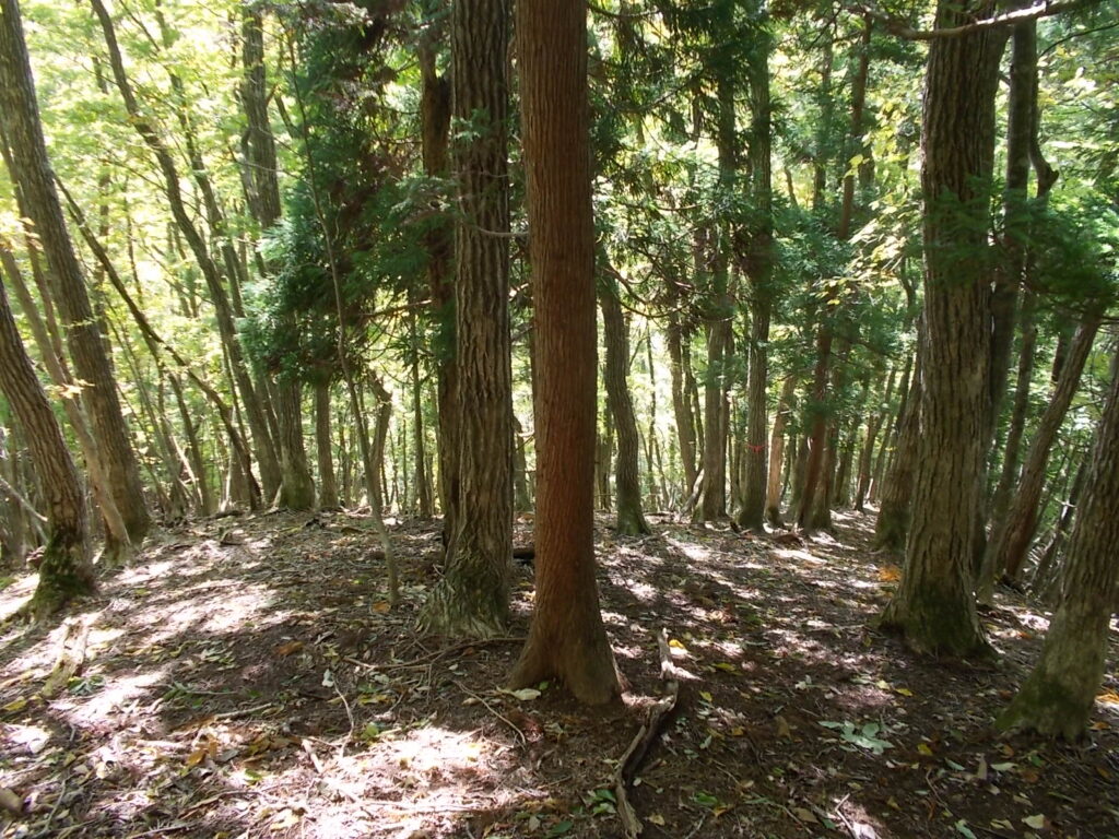12：03　けっこうきびしい下りです。