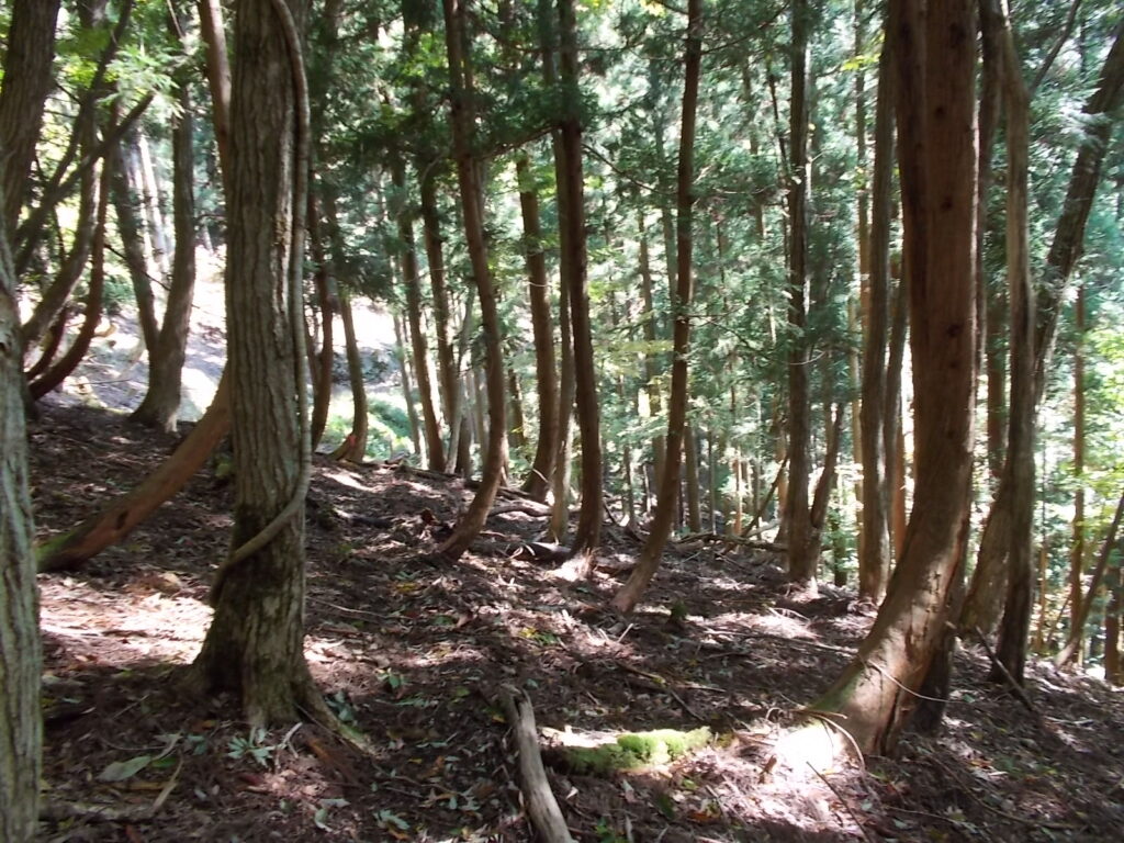 12：08　この辺りは雪が多そうですね。