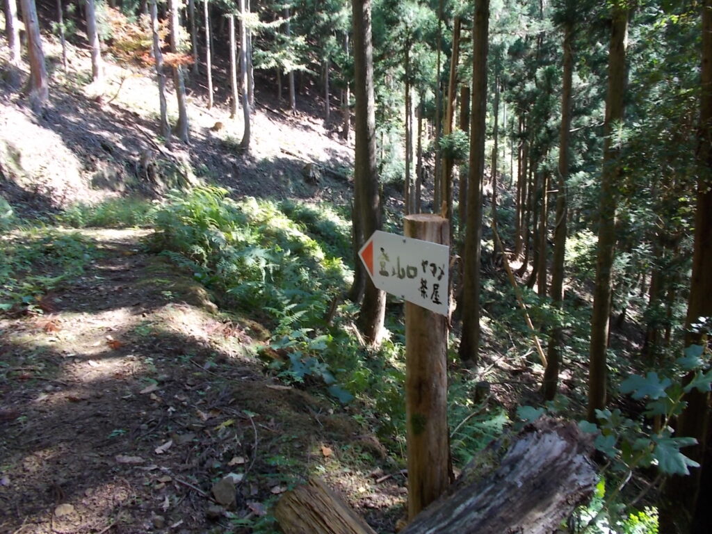 12：08　林道に出ました