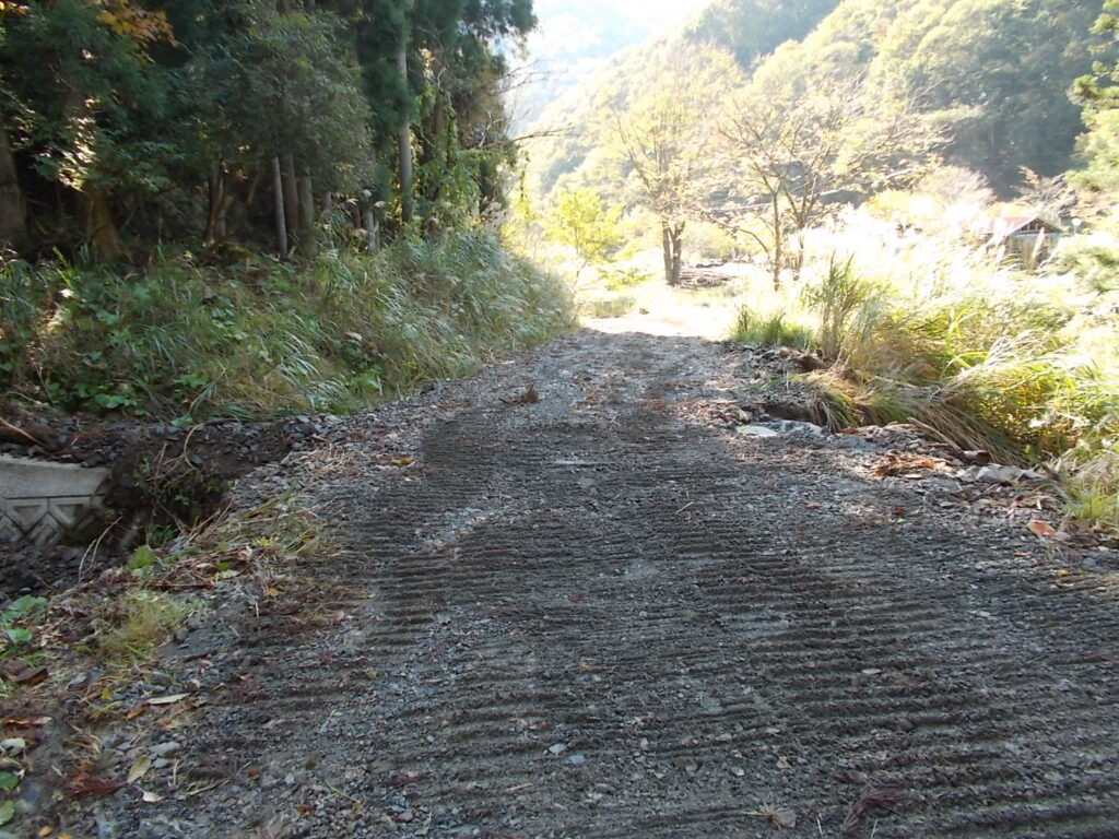 12：16　林道宮ノ後線を歩きます。