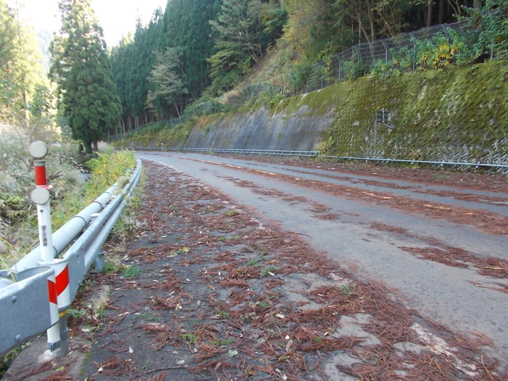 12：23　R29に出ました