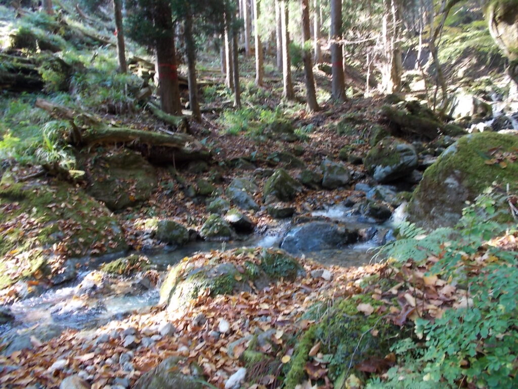 11：11　またまた流れを越えます。