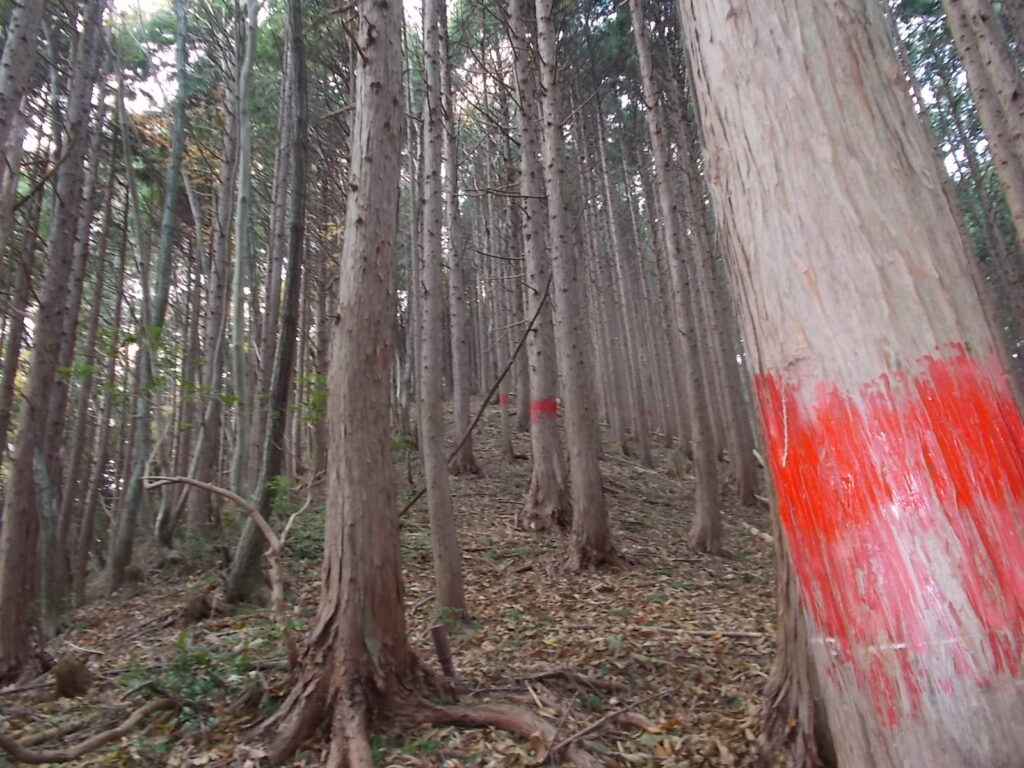 11：40　またまた急上り。