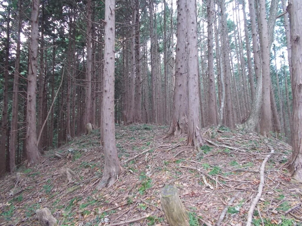 11：53　ピークに着きました。