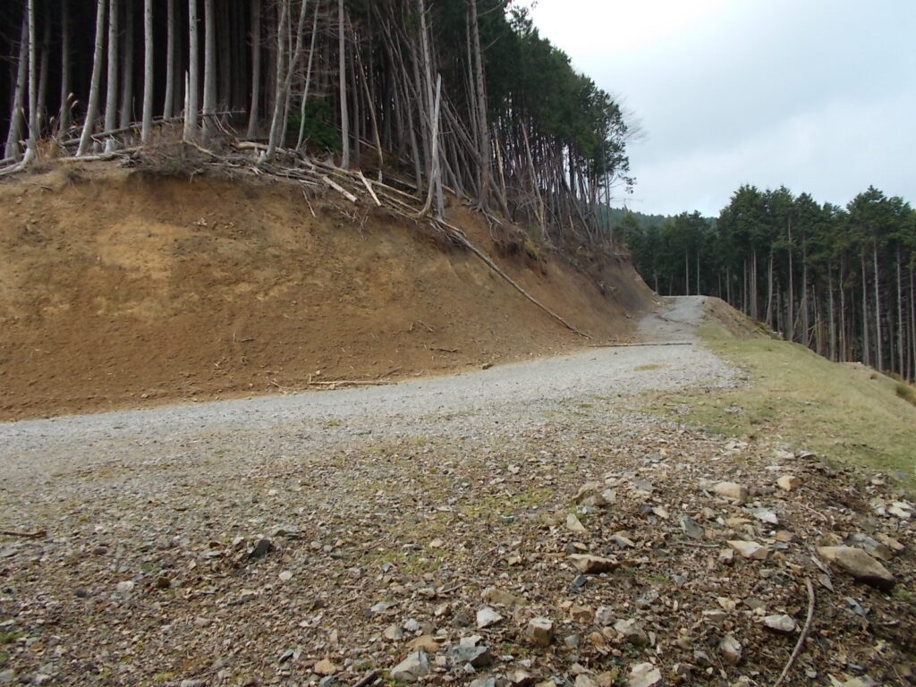 11：55　すぐに林道に出ました。が、登山道がありません。