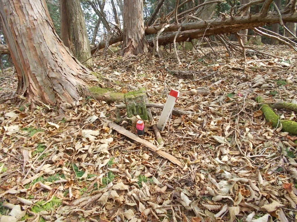 12：17　山頂手前のピークです。