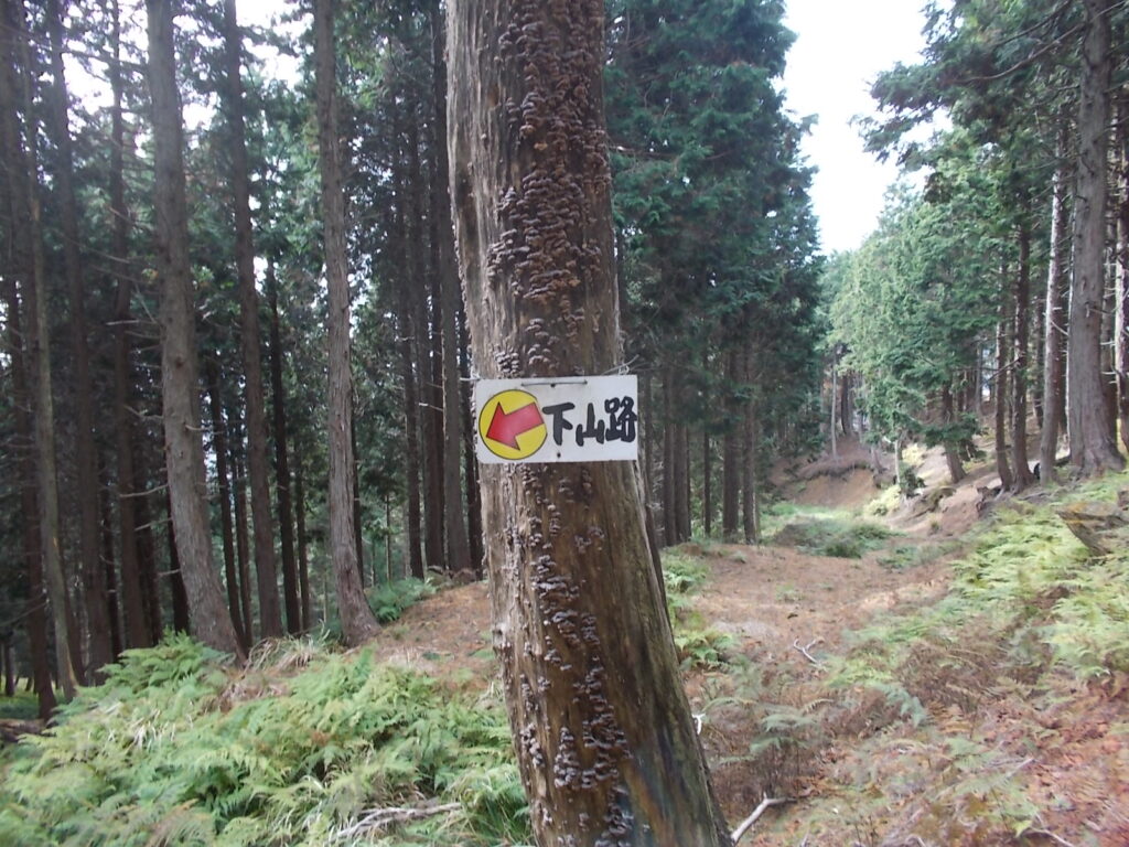 12：40　木につけられた案内板。