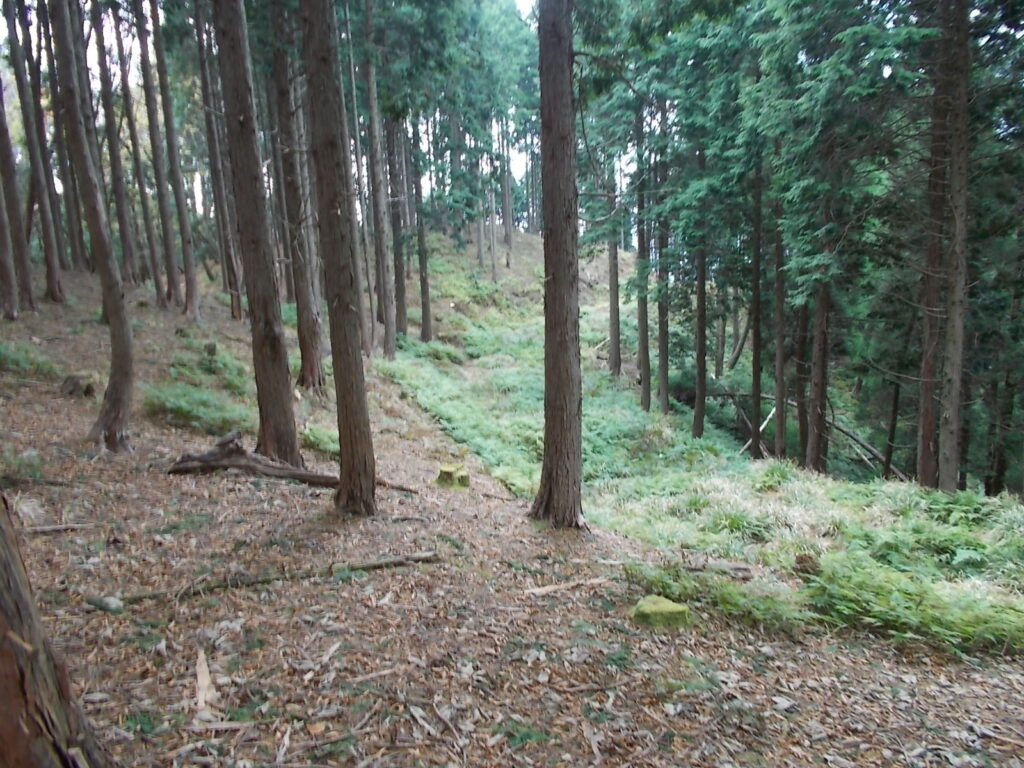 12：45　林道に出ましたが、登山道を進みます。