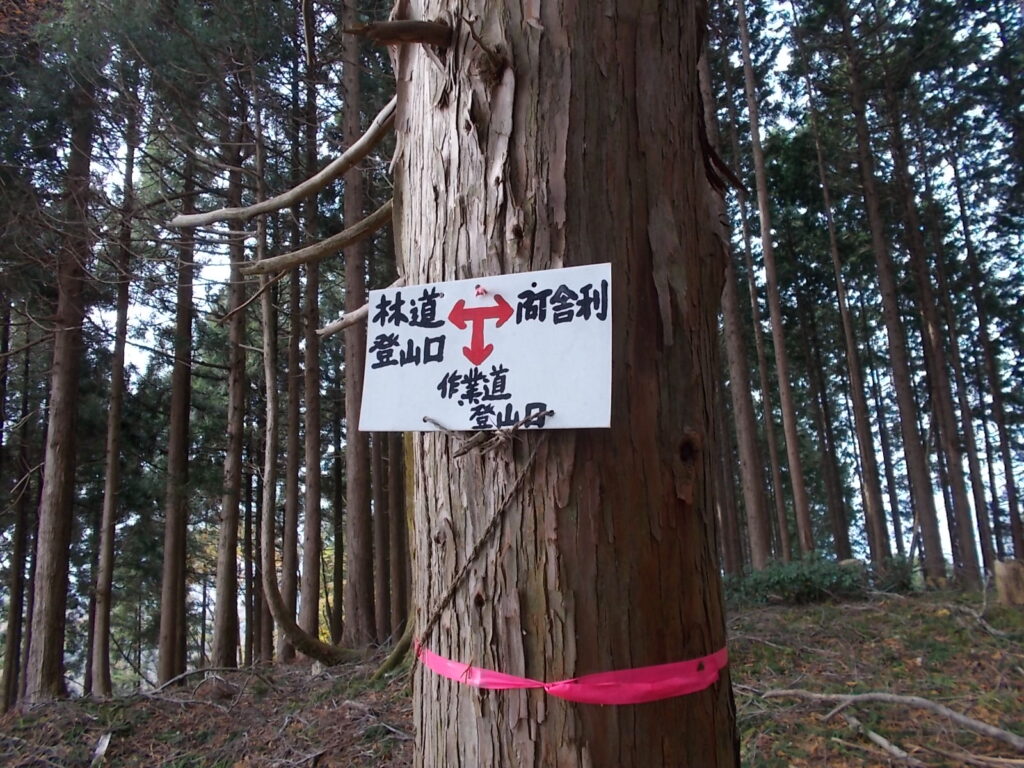 12：49　作業道登山口への分岐。ここから激下りを下ります。