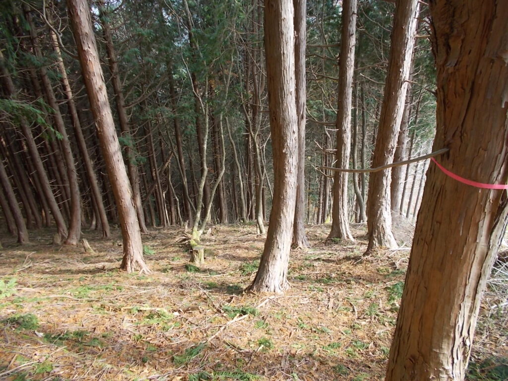 12：49　急斜面の様子