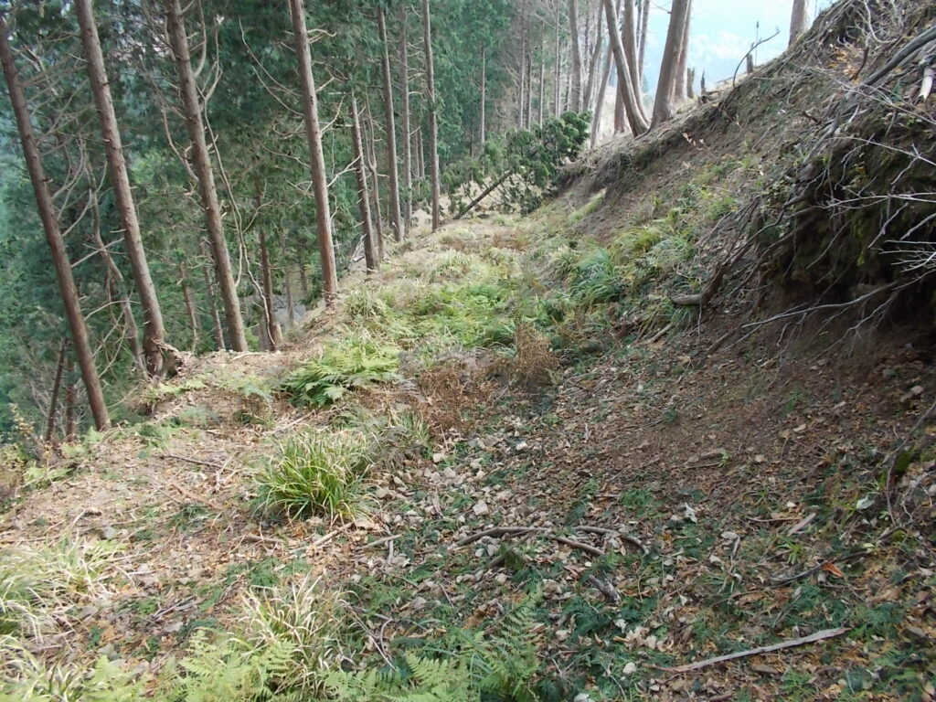 12：55　左側に作業道があったので、下りました。正面に倒木がありましたが、枝の間を抜けて越えました。