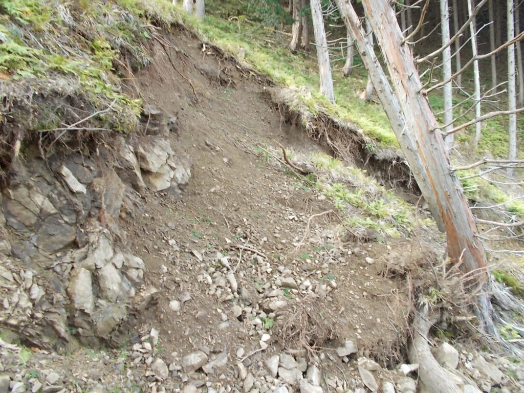 12：57　根元がかなり崩れています。