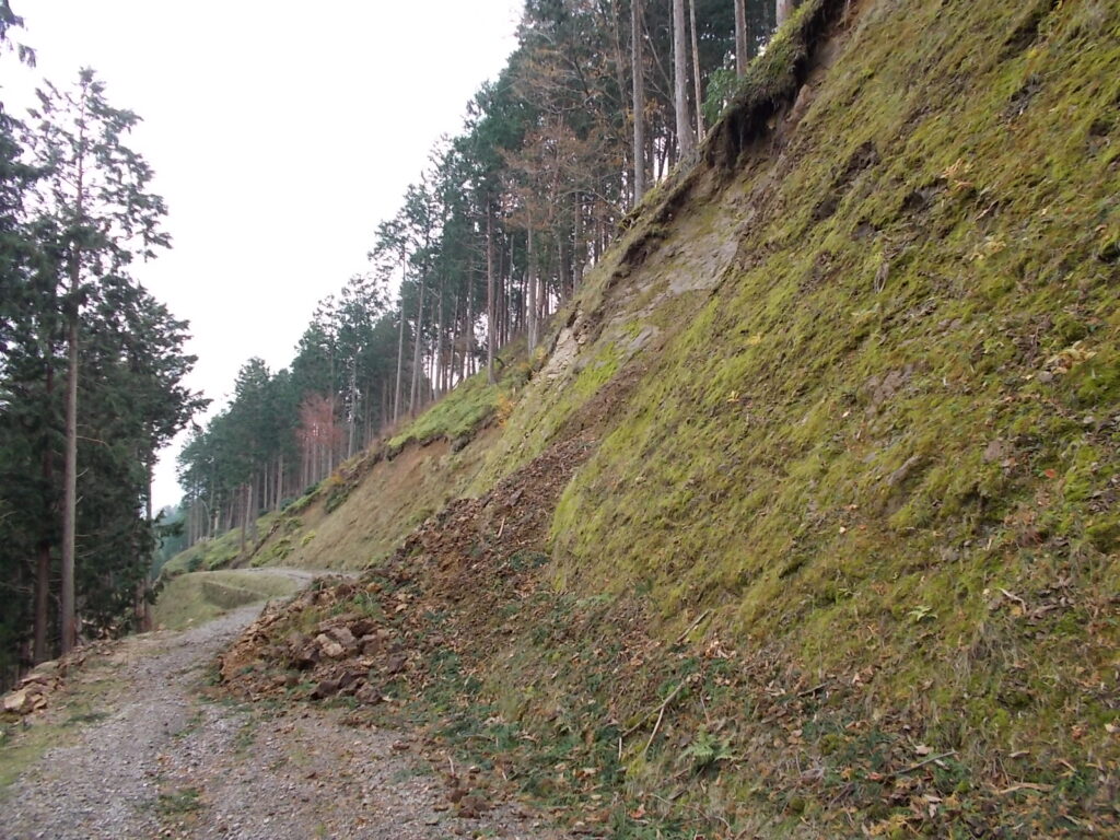 13：01　さらに進んだところの崩落。こちらはかなり危なそうです。これ以上崩れると通れなくなりそうです。