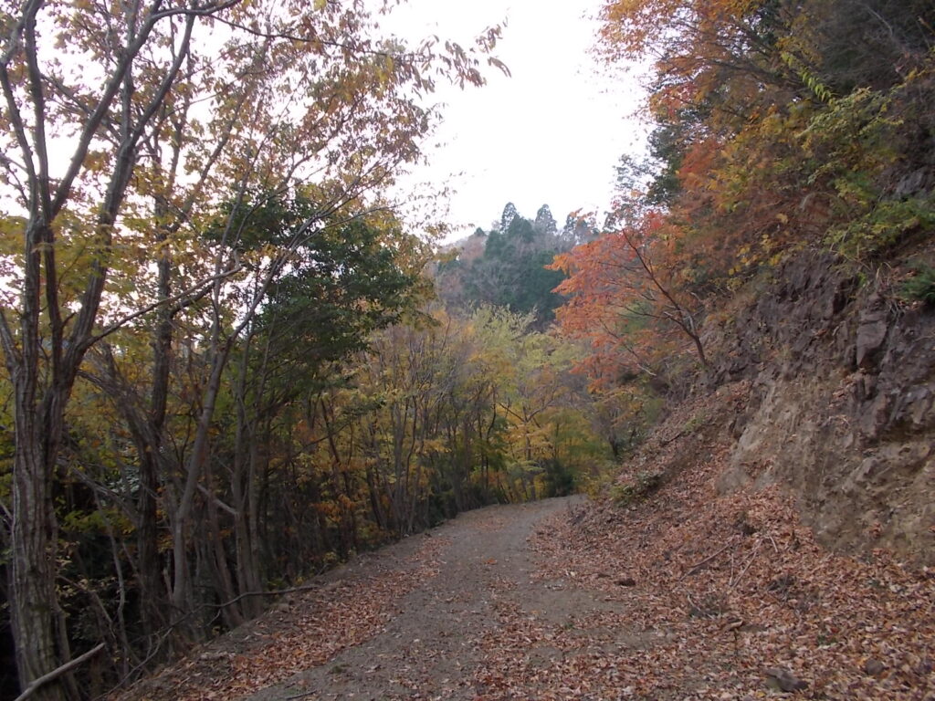 13：21　林道の紅葉