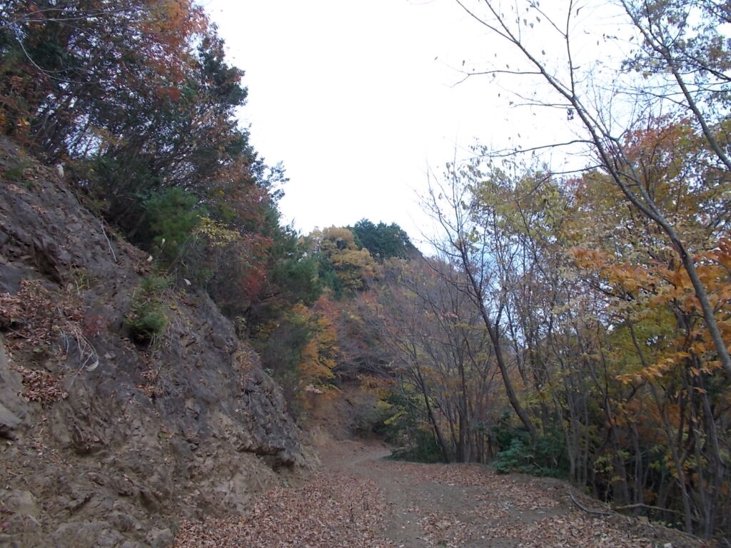 13：21　林道の紅葉