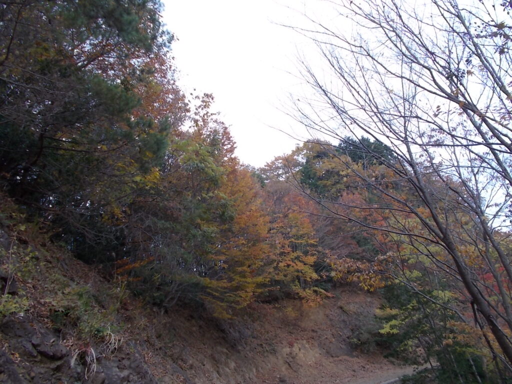 13：22　林道の紅葉