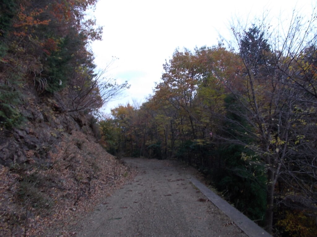 13：22　林道の紅葉