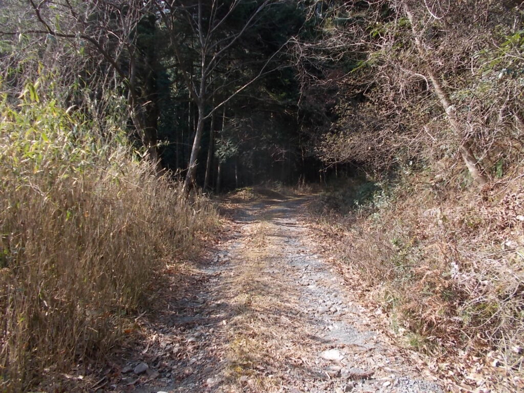 9:59 林道を少し進みます。