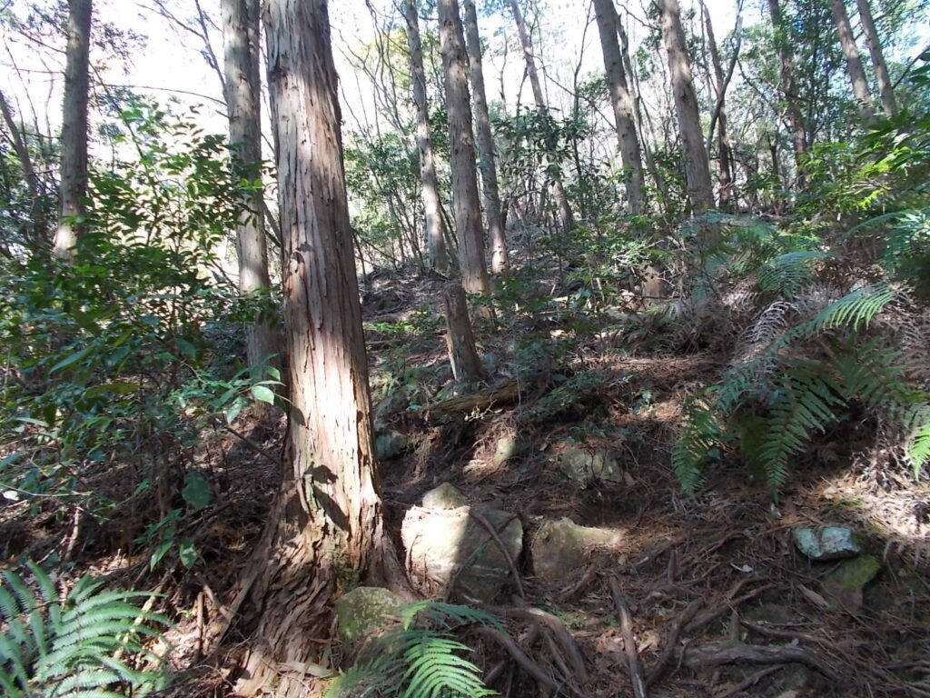 10:01 ロープのある急坂。